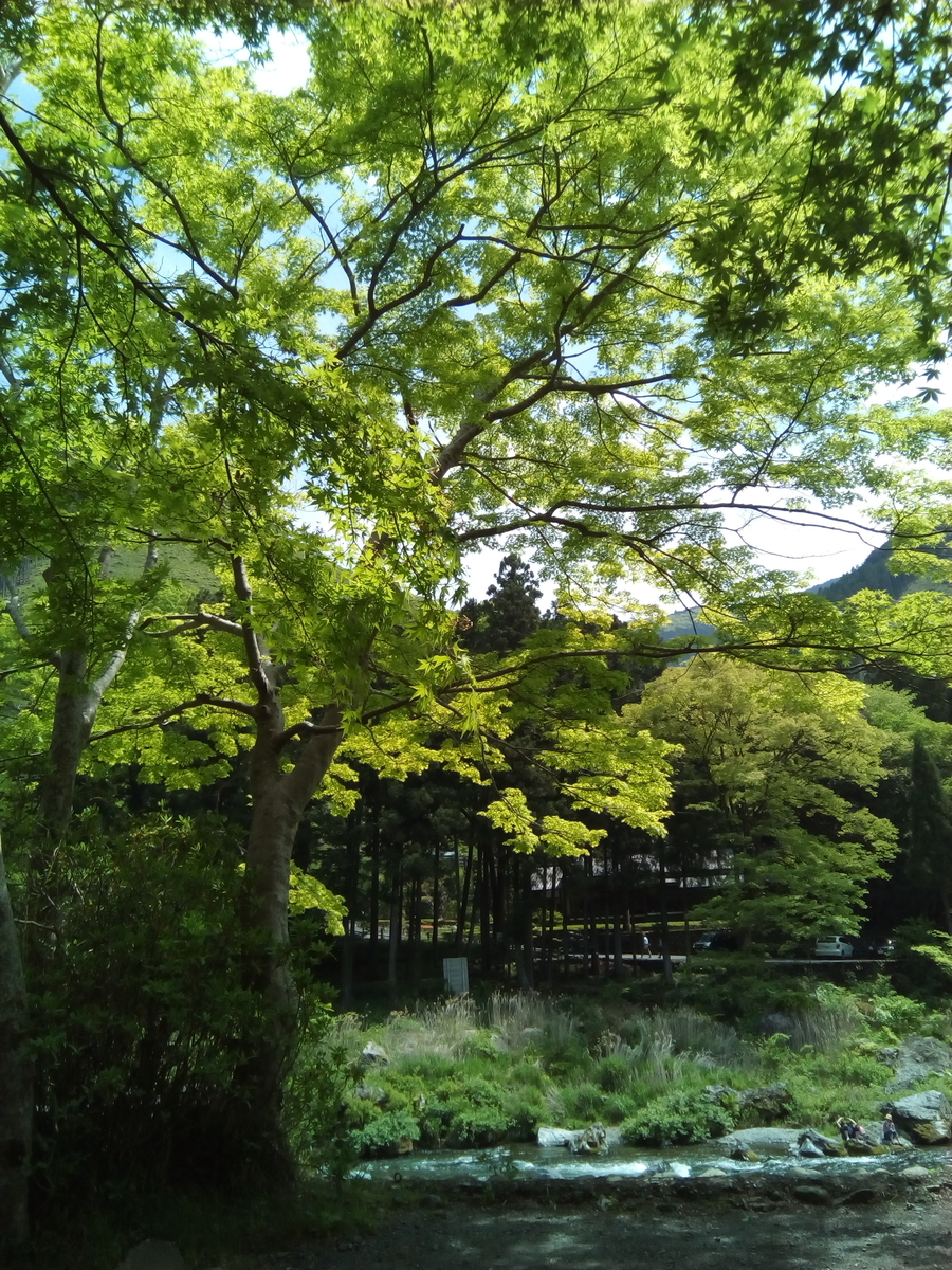f:id:kazusanuchisan:20190717222805j:plain