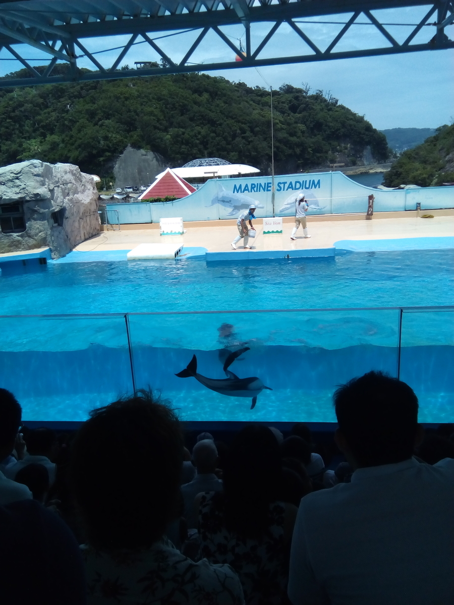 f:id:kazusanuchisan:20190723214029j:plain