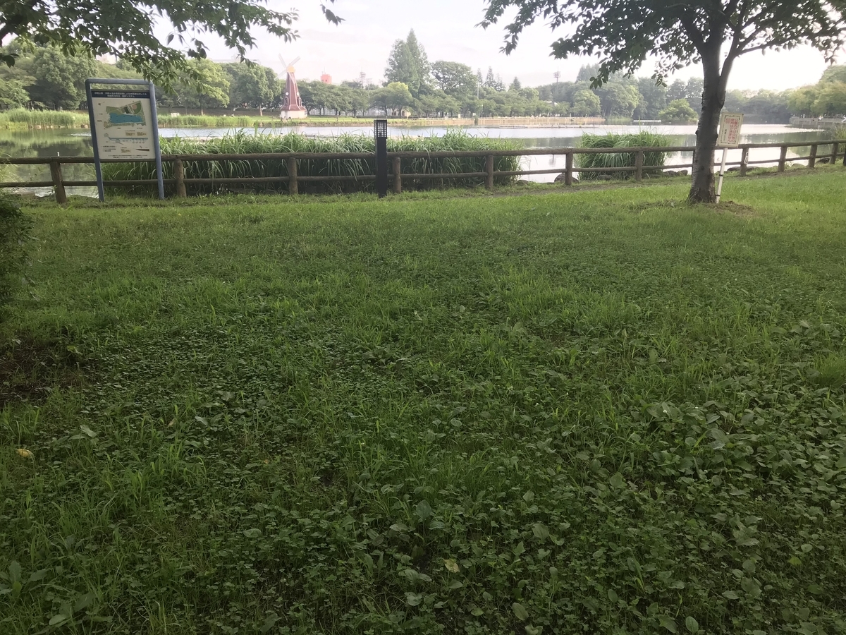 f:id:kazusanuchisan:20190724080012j:plain f:id:kazusanuchisan:20190724080012j:plain