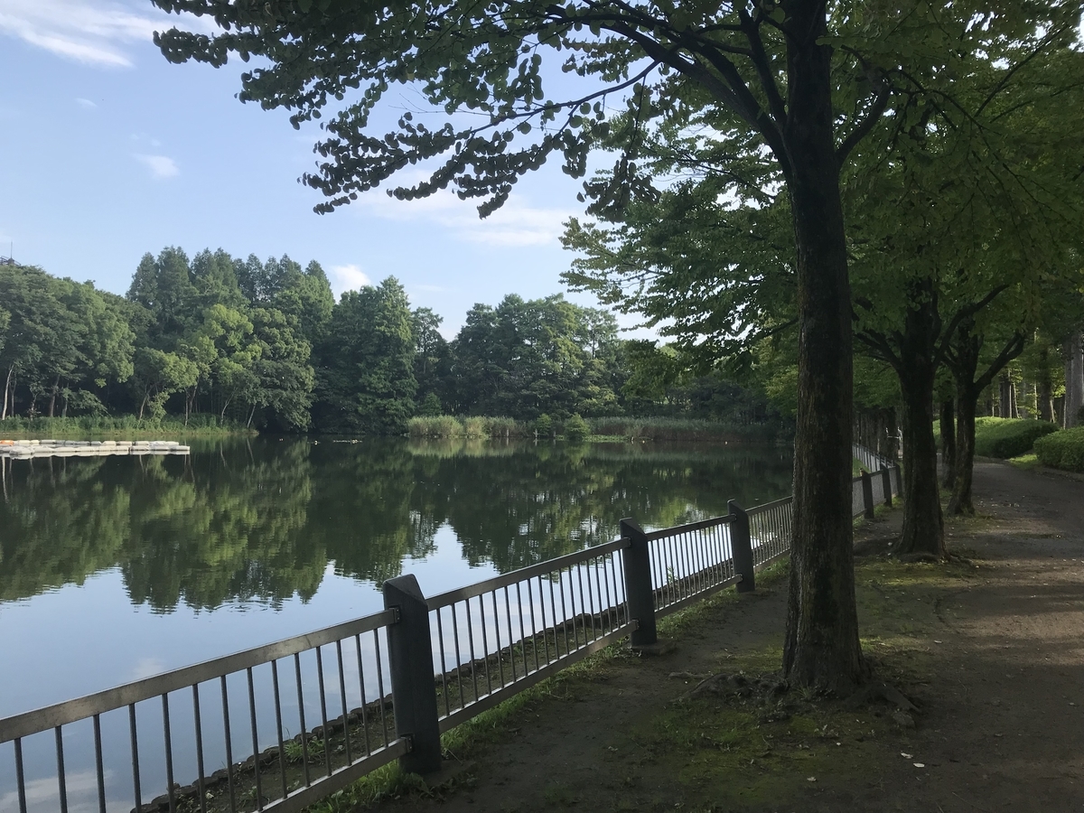 f:id:kazusanuchisan:20190724080904j:plain f:id:kazusanuchisan:20190724080904j:plain