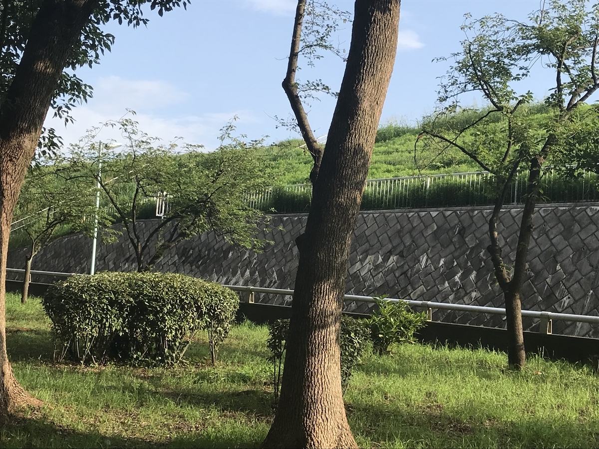 f:id:kazusanuchisan:20190724080949j:plain f:id:kazusanuchisan:20190724080949j:plain