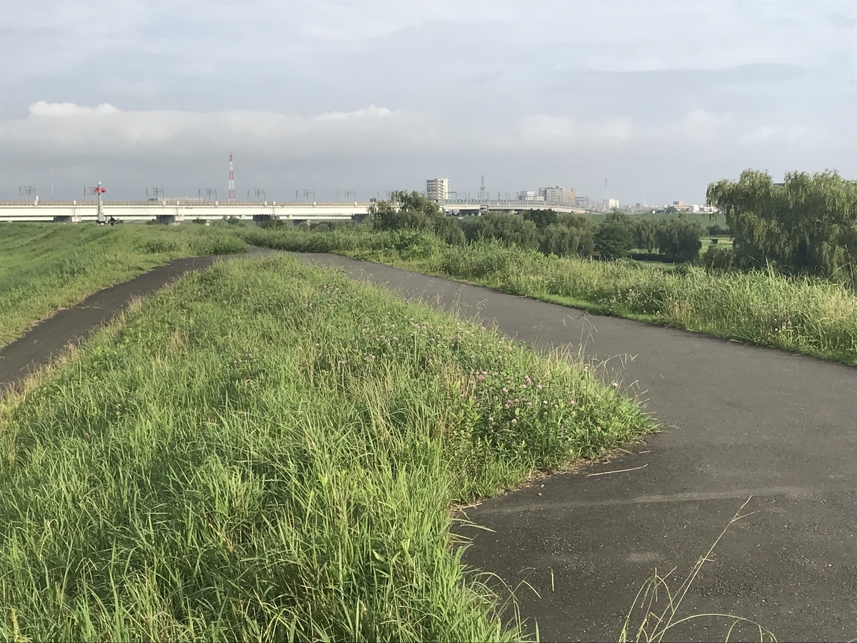 f:id:kazusanuchisan:20190724081127j:plain f:id:kazusanuchisan:20190724081127j:plain