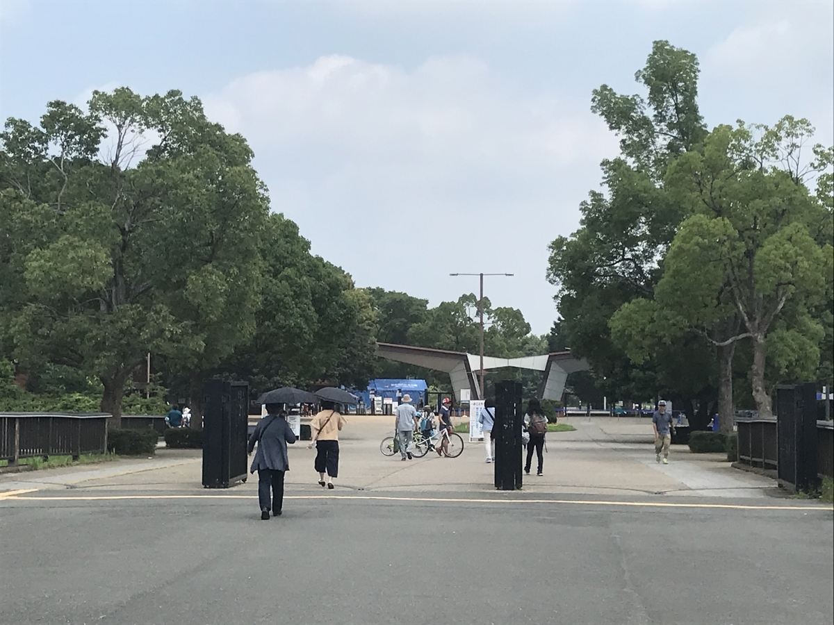 f:id:kazusanuchisan:20190730210304j:plain