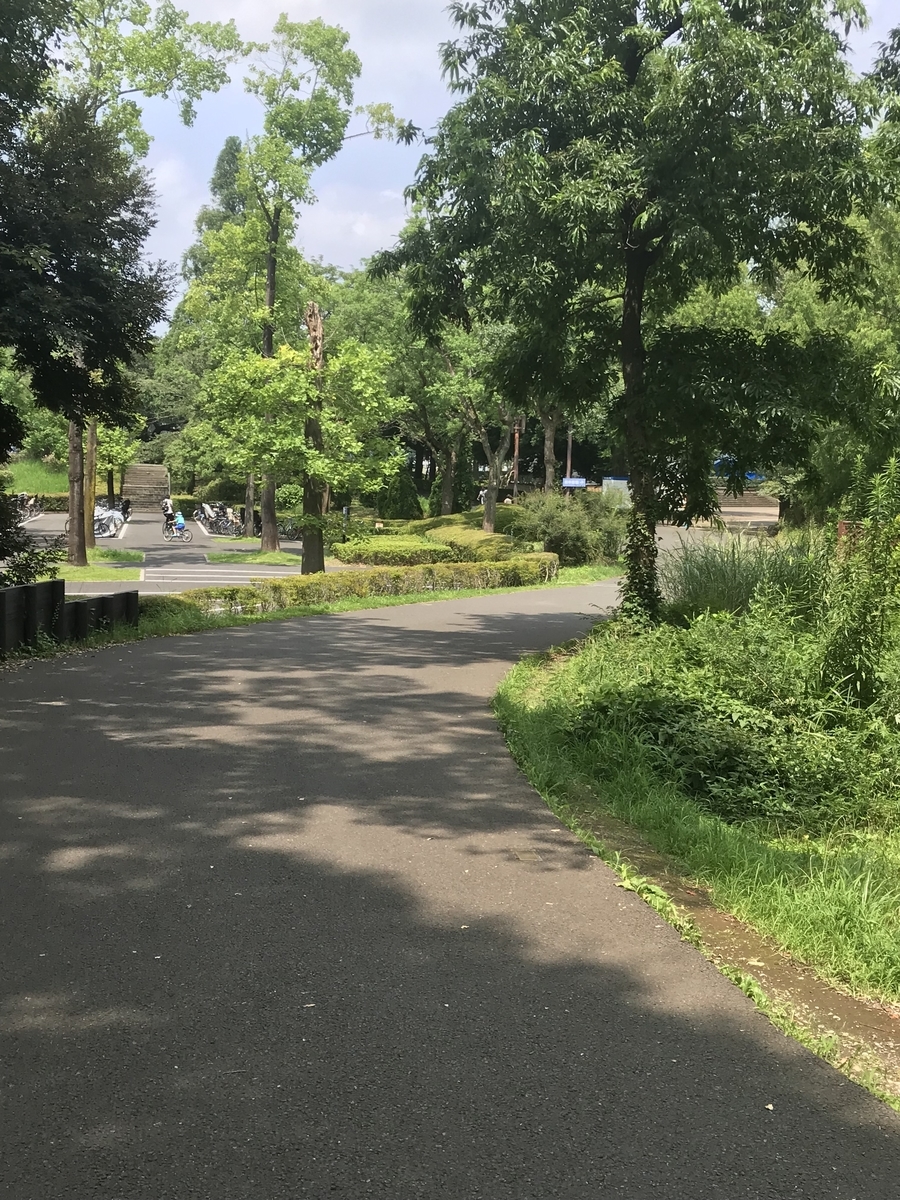 f:id:kazusanuchisan:20190730211125j:plain