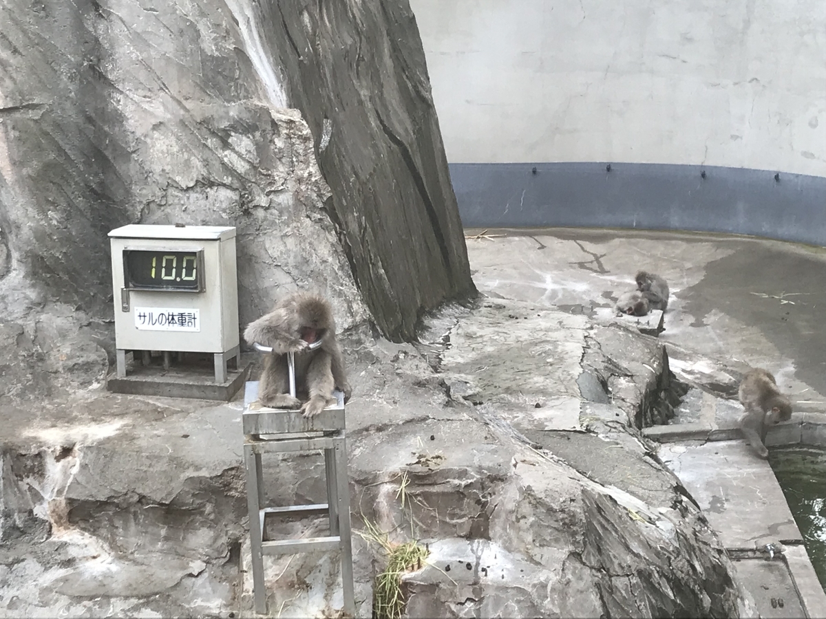 f:id:kazusanuchisan:20190811064011j:plain f:id:kazusanuchisan:20190811064011j:plain