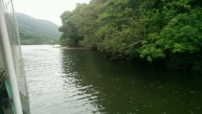 f:id:kazusanuchisan:20191215080908j:plain f:id:kazusanuchisan:20191215080908j:plain