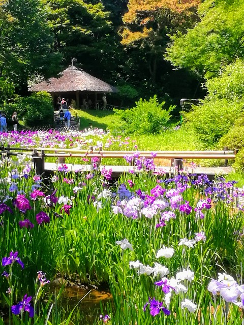 f:id:kazutatan:20190617235610j:image f:id:kazutatan:20190617235610j:image