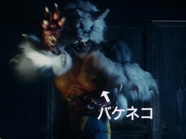 バケネコ - ABCのブログ バケネコ - ABCのブログ
