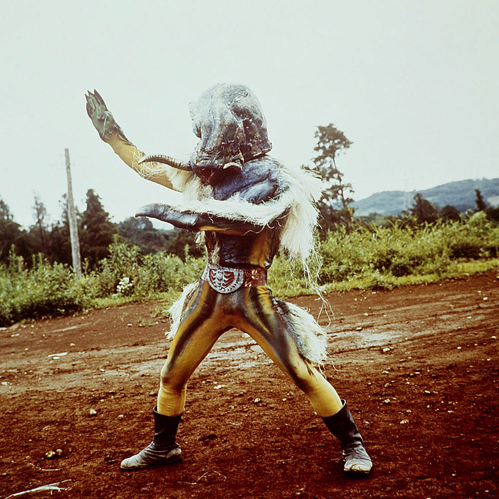 ドクロイノシシ - ABCのブログ