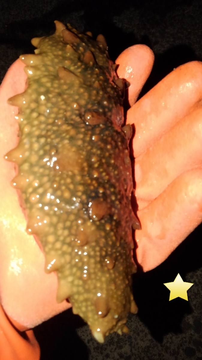 f:id:kazuto45:20191116222257j:plain f:id:kazuto45:20191116222257j:plain