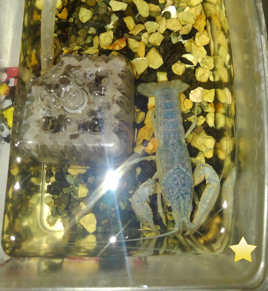 f:id:kazuto45:20191214203740j:plain f:id:kazuto45:20191214203740j:plain