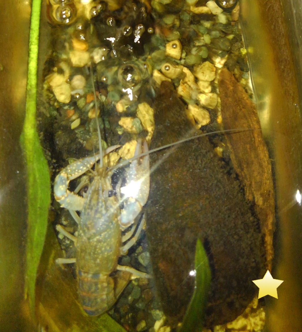 f:id:kazuto45:20191214204205j:plain f:id:kazuto45:20191214204205j:plain