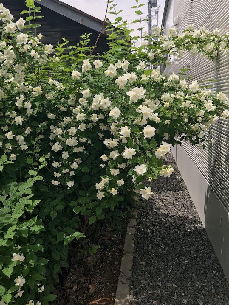 f:id:kazuto47:20180611202932j:image f:id:kazuto47:20180611202932j:image