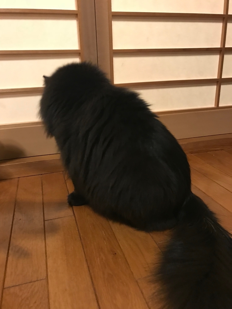 f:id:kazuto47:20181104192552j:plain