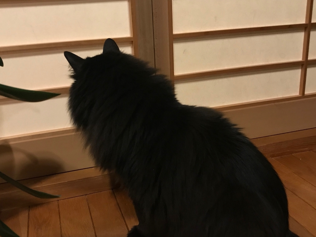 f:id:kazuto47:20181104192618j:plain