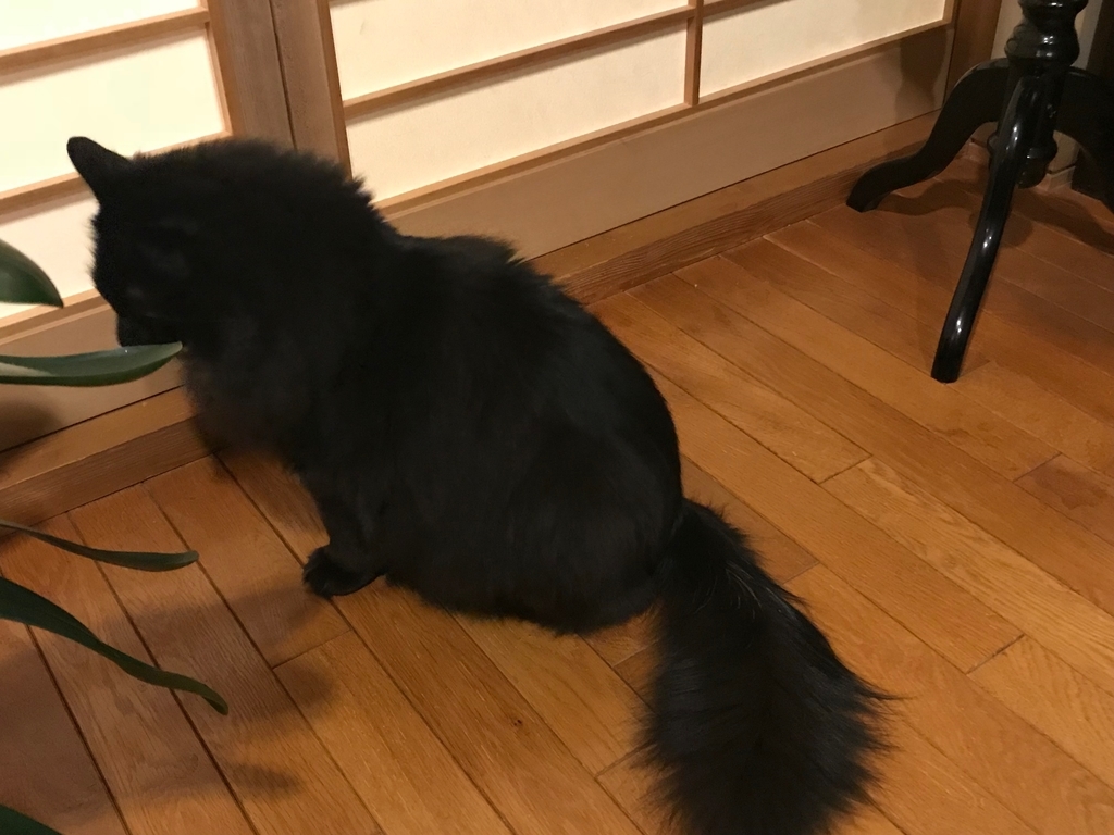 f:id:kazuto47:20181104192629j:plain