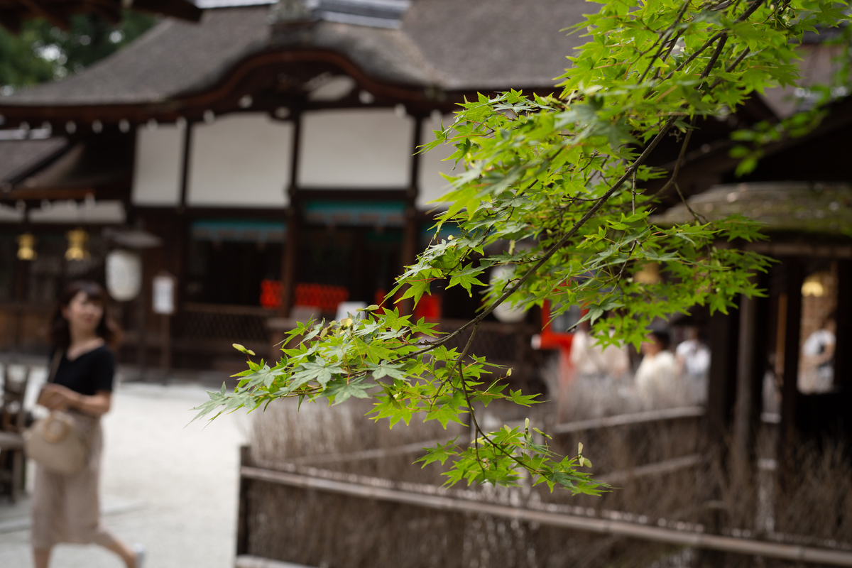 f:id:kazuto47:20190710013255j:plain