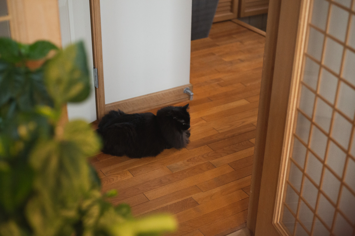 f:id:kazuto47:20190728172225j:plain