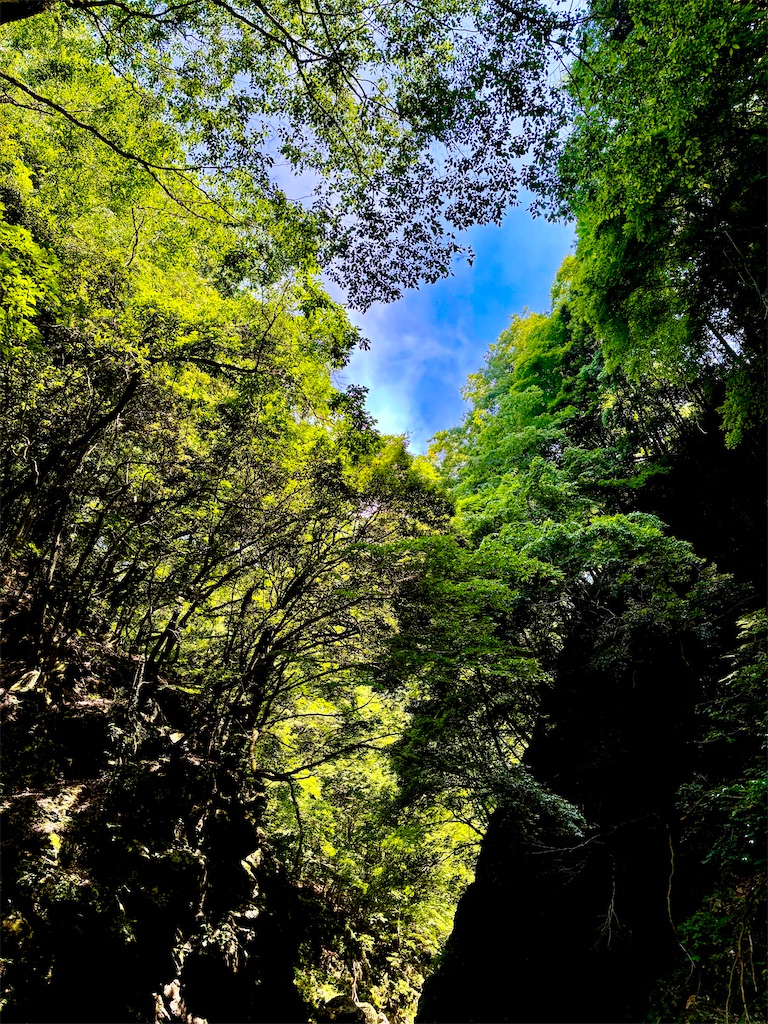 f:id:kazuu91:20250610070924j:image f:id:kazuu91:20250610070924j:image