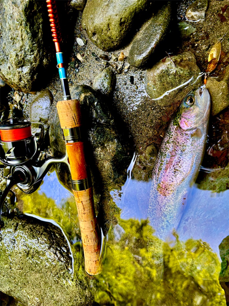 f:id:kazuu91:20250610070933j:image f:id:kazuu91:20250610070933j:image