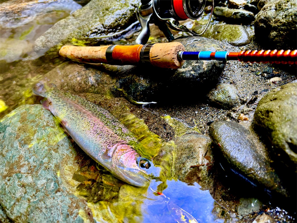 f:id:kazuu91:20250610070951j:image f:id:kazuu91:20250610070951j:image