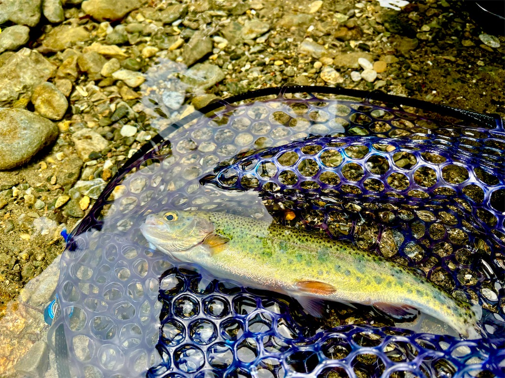 f:id:kazuu91:20250610071037j:image f:id:kazuu91:20250610071037j:image