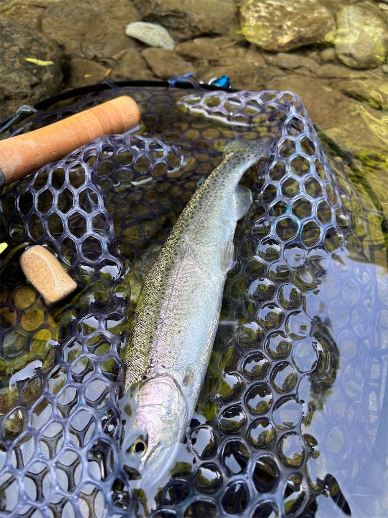 f:id:kazuu91:20250708071452j:image f:id:kazuu91:20250708071452j:image