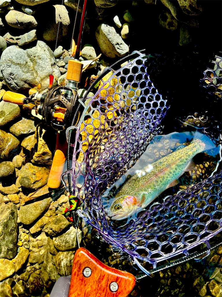 f:id:kazuu91:20250708071617j:image f:id:kazuu91:20250708071617j:image