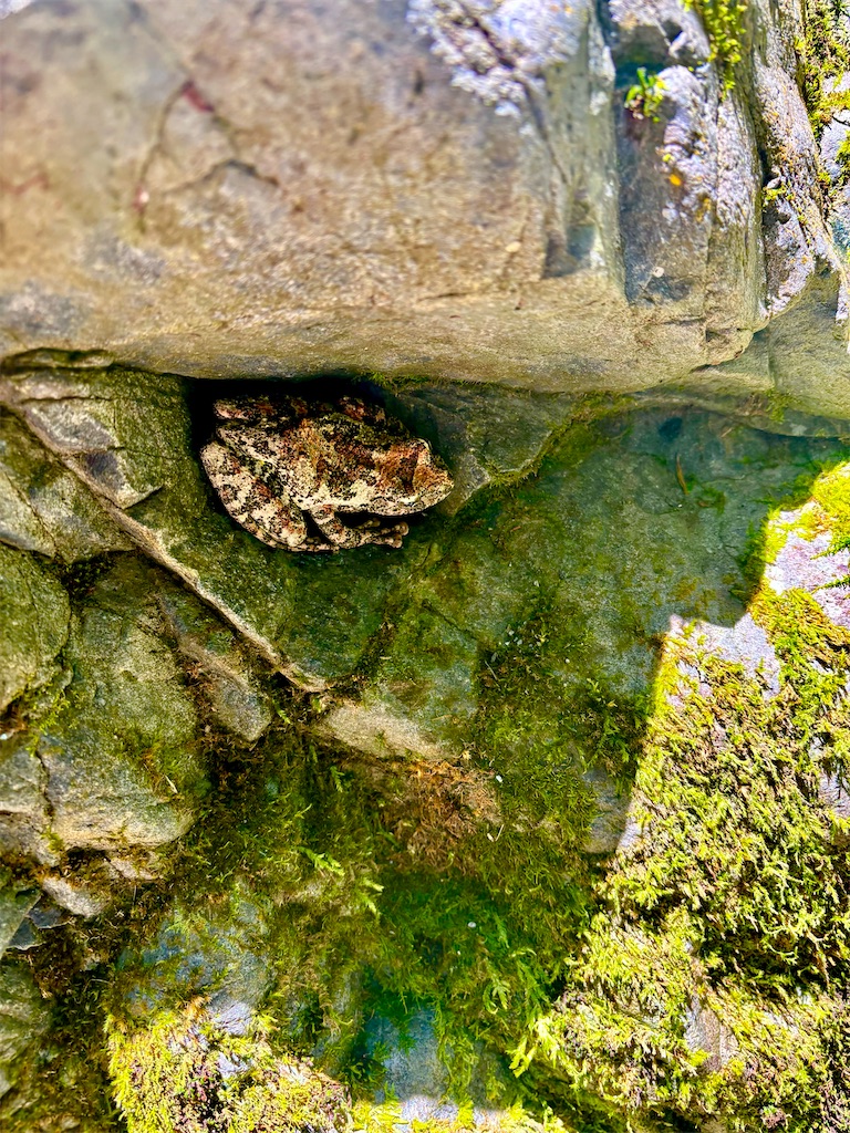 f:id:kazuu91:20250823070949j:image f:id:kazuu91:20250823070949j:image