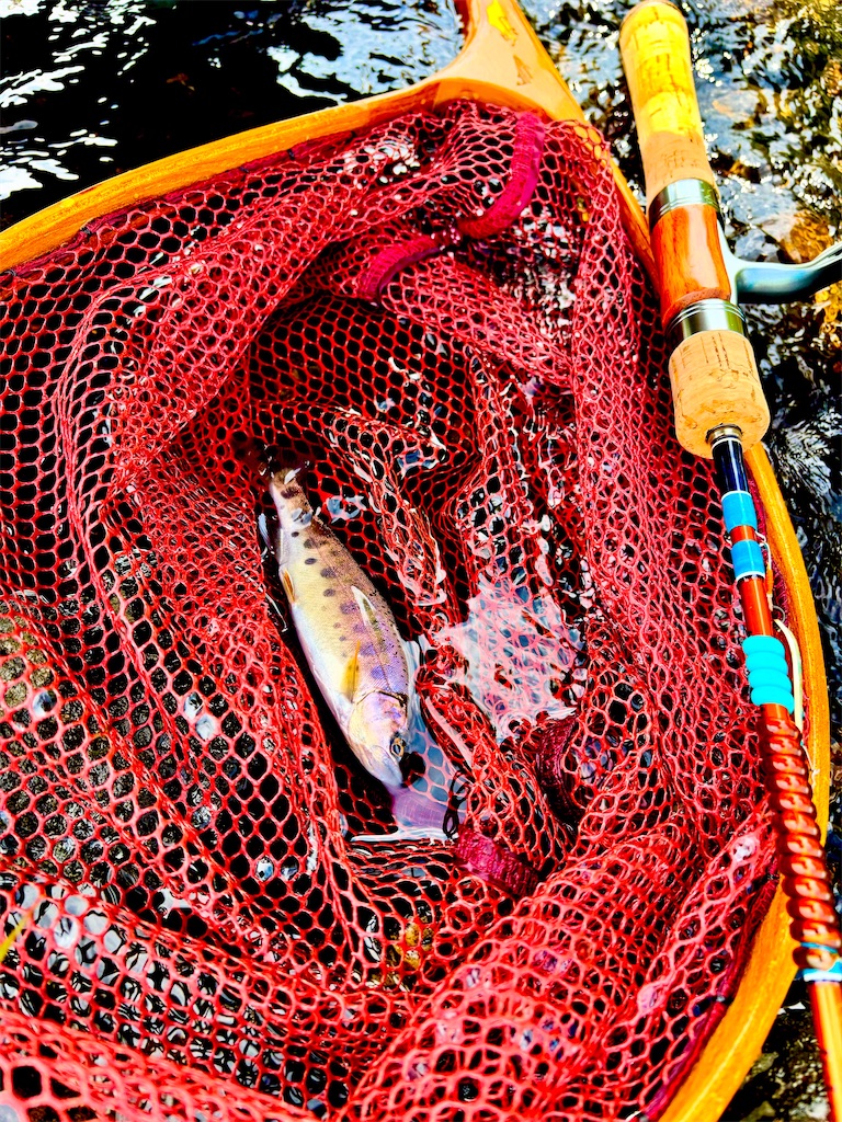 f:id:kazuu91:20250823071125j:image f:id:kazuu91:20250823071125j:image