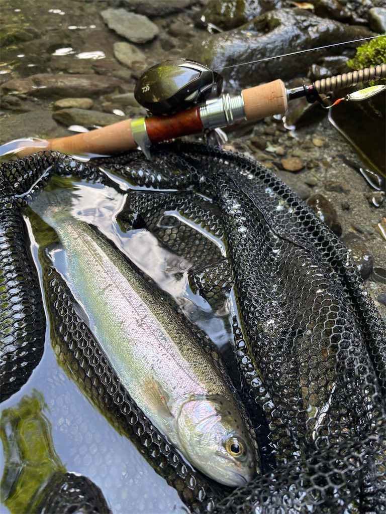 f:id:kazuu91:20250823071303j:image f:id:kazuu91:20250823071303j:image