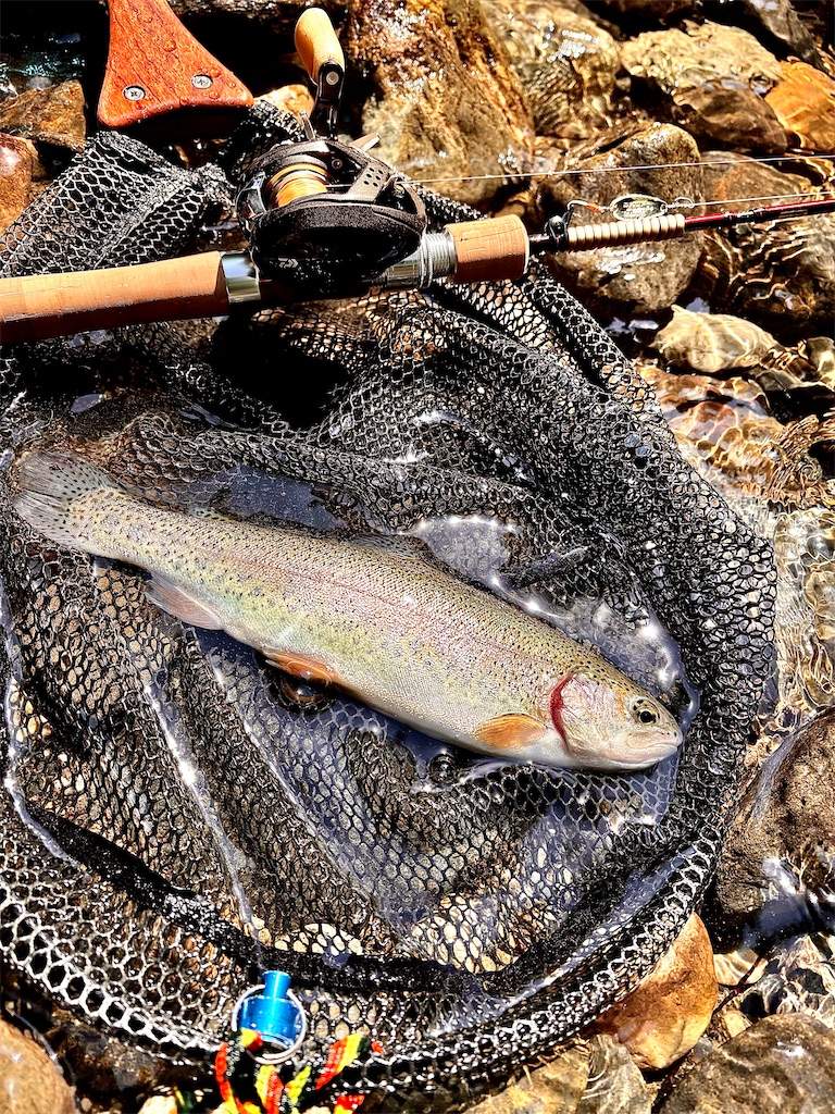 f:id:kazuu91:20250823071306j:image f:id:kazuu91:20250823071306j:image