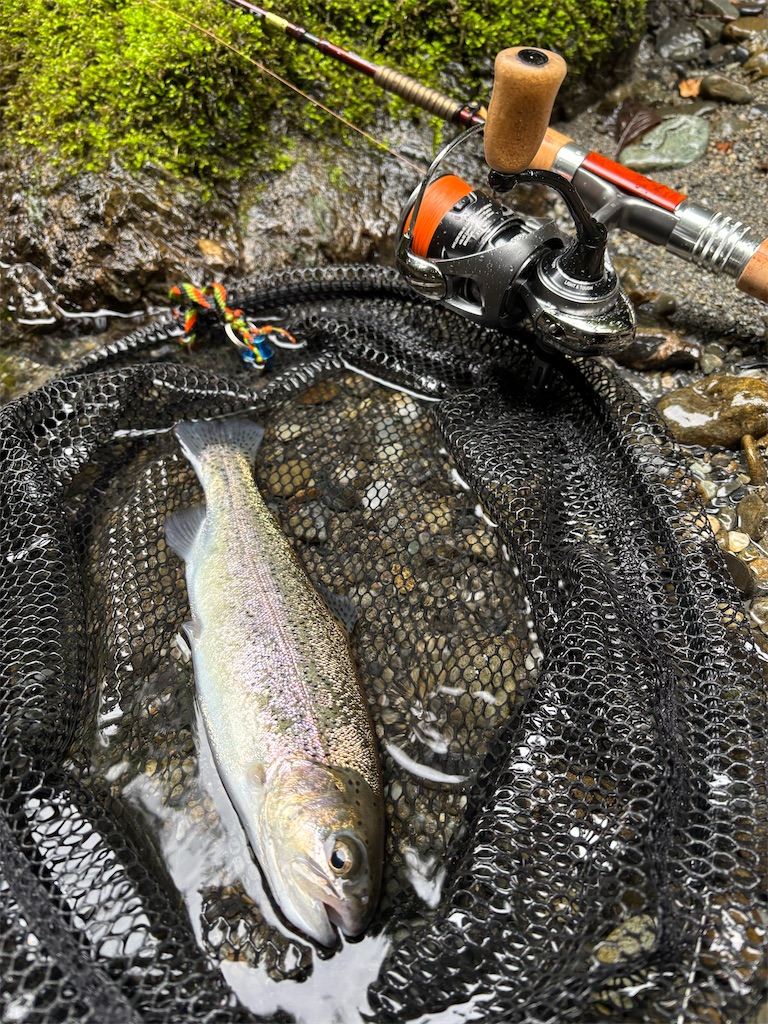 f:id:kazuu91:20250823071441j:image f:id:kazuu91:20250823071441j:image