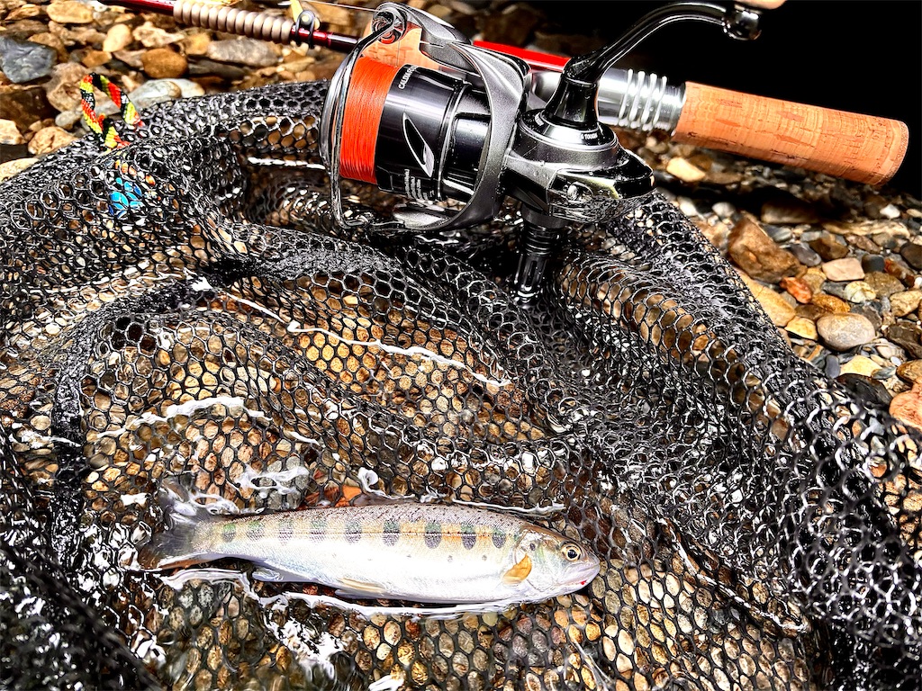 f:id:kazuu91:20250823071446j:image f:id:kazuu91:20250823071446j:image