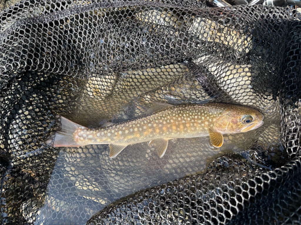 f:id:kazuu91:20250824095214j:image f:id:kazuu91:20250824095214j:image