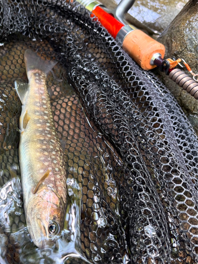 f:id:kazuu91:20250824095320j:image f:id:kazuu91:20250824095320j:image