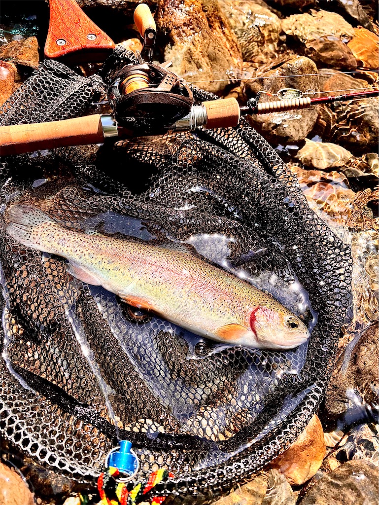 f:id:kazuu91:20250824215928j:image f:id:kazuu91:20250824215928j:image