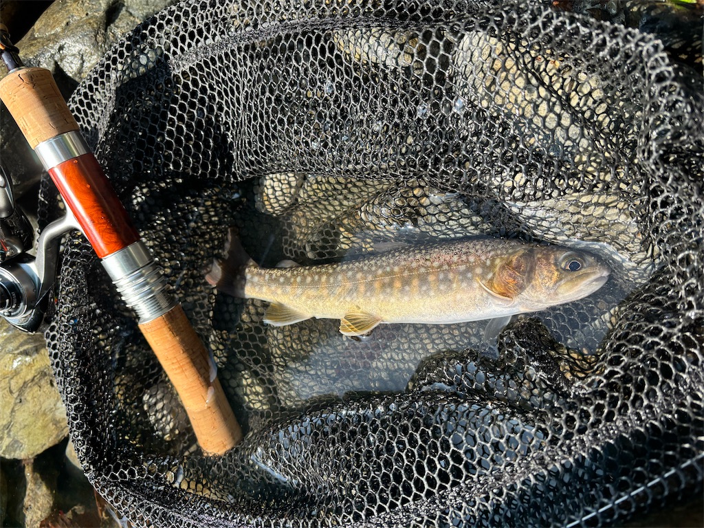 f:id:kazuu91:20250903070646j:image f:id:kazuu91:20250903070646j:image