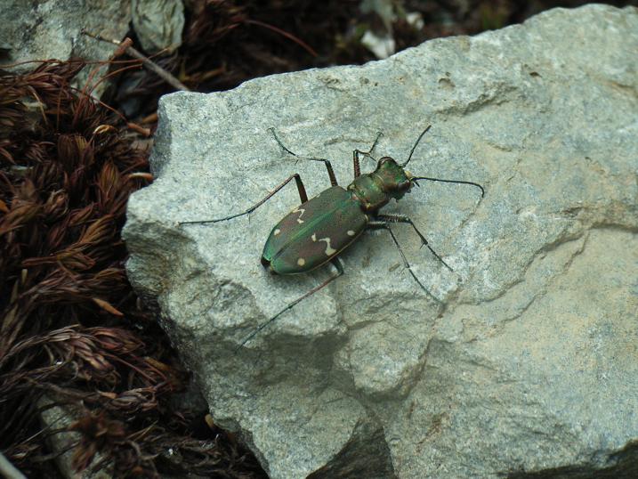 f:id:kazuyo1014:20110113130108j:image