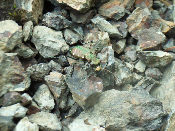 f:id:kazuyo1014:20110113130109j:image