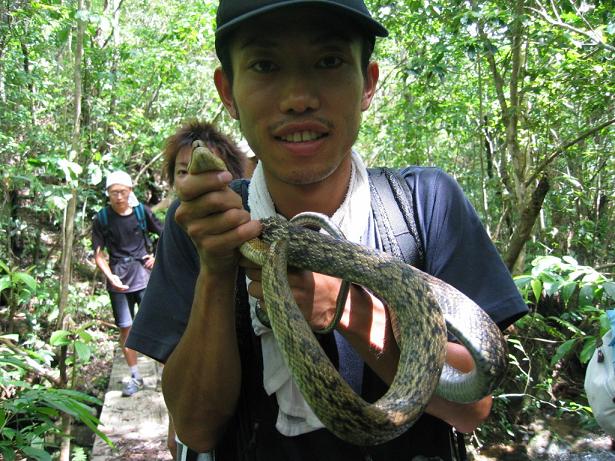 f:id:kazuyo1014:20110627184306j:image