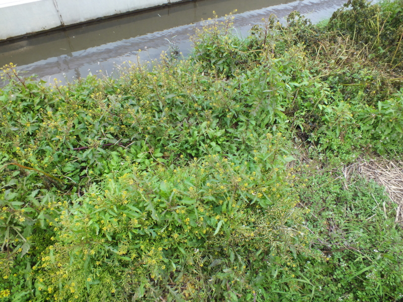 f:id:kazuyo1014:20111221220052j:image
