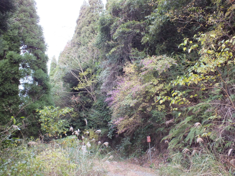 f:id:kazuyo1014:20111230194932j:image