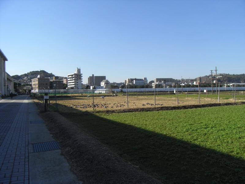 f:id:kazuyo1014:20120104090323j:image