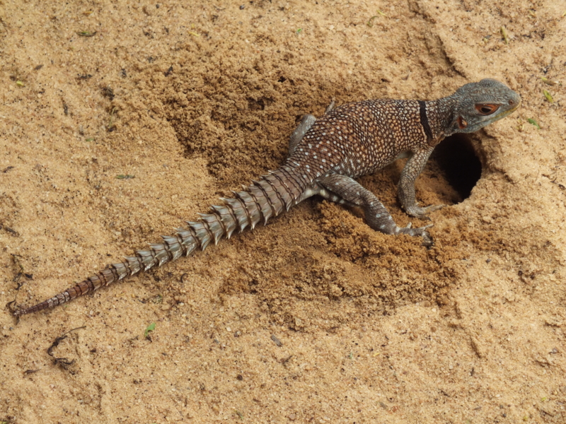 f:id:kazuyo1014:20120224112303j:image