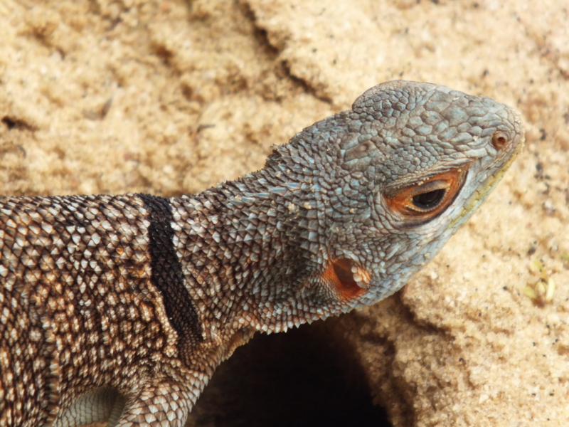 f:id:kazuyo1014:20120224112324j:image