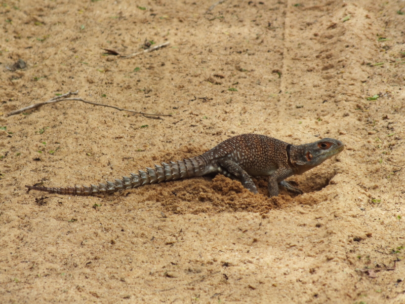 f:id:kazuyo1014:20120224112345j:image