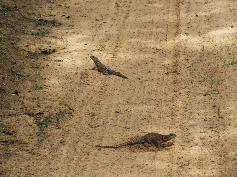 f:id:kazuyo1014:20120224112406j:image