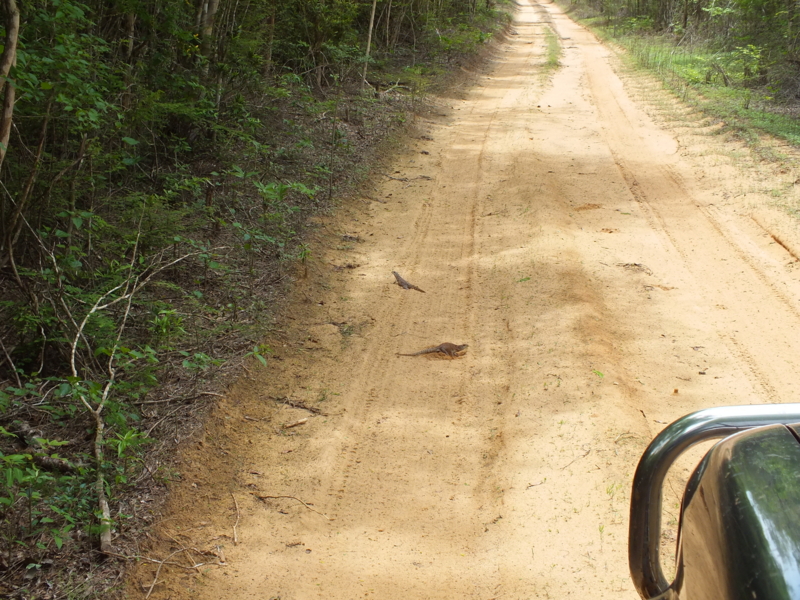 f:id:kazuyo1014:20120224112427j:image