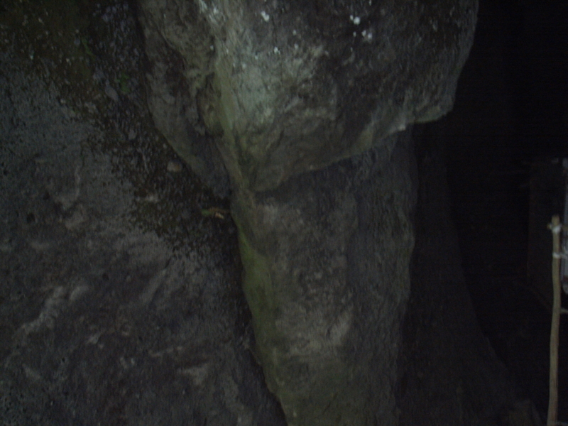 f:id:kazuyo1014:20120314122722j:image